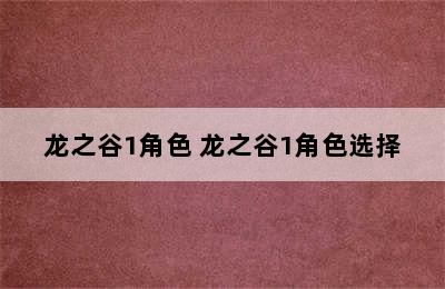 龙之谷1角色 龙之谷1角色选择